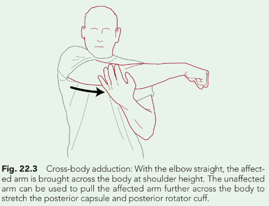 cross-body-adduction.png