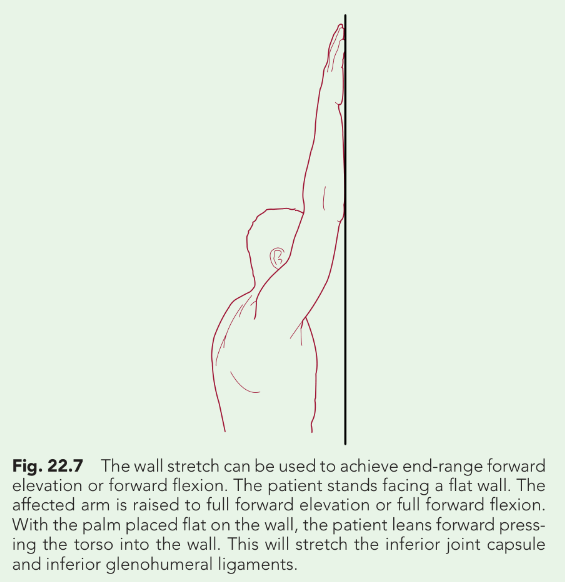 wall-stretch.png